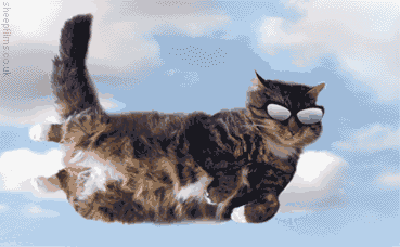 The transitional life form flying kitty.gif
