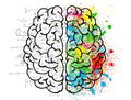Math brain.jpg