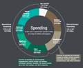 2011 spending pie chart.png