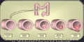 Thumbnail for version as of 17:50, April 18, 2007