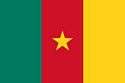 Flag of Cameroon.jpg