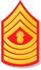 353px-Marine Corp Master Gunnery Sergeant.jpg