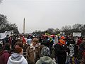 March for Life 2010 Mall.jpg